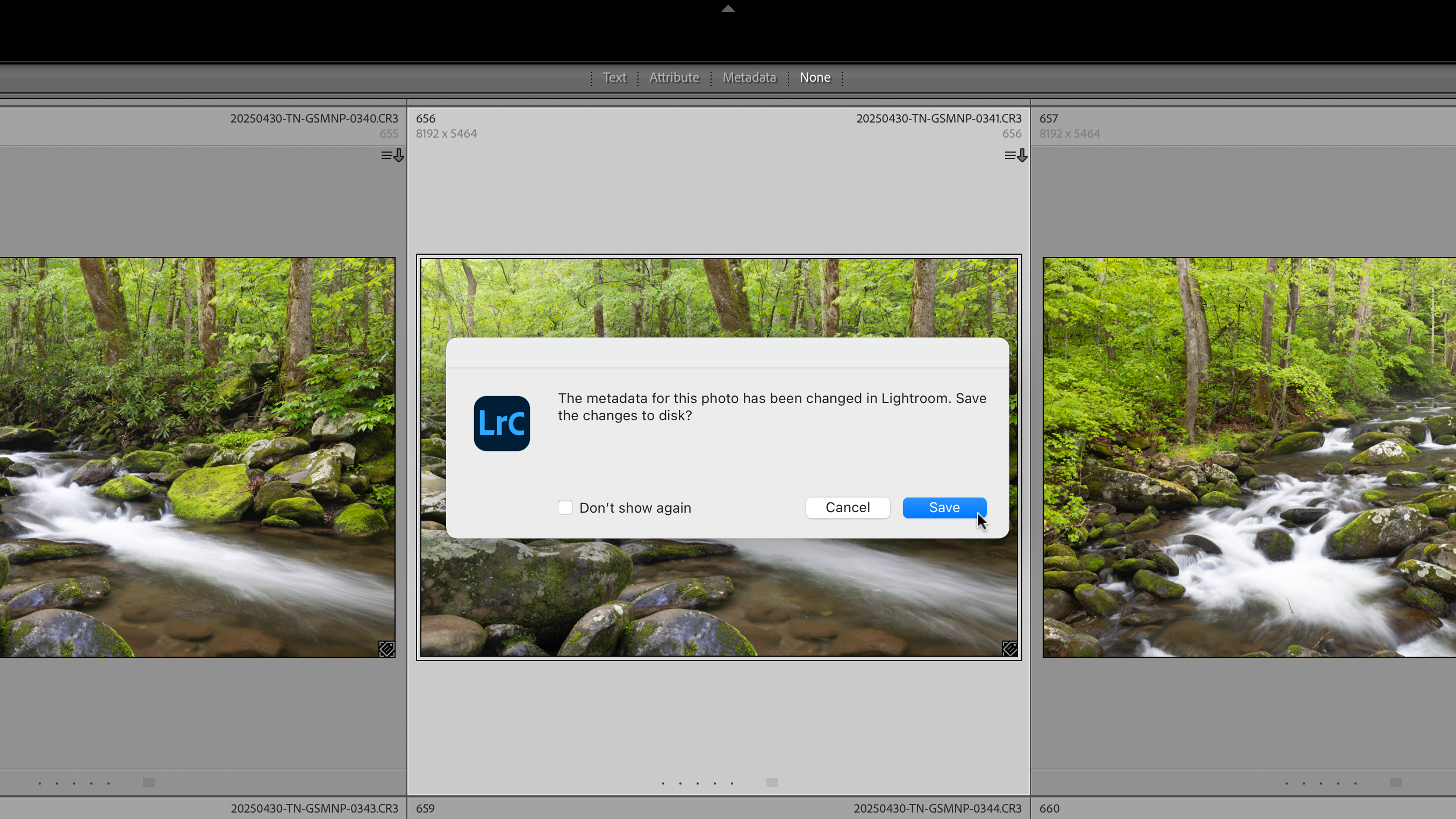 Lightroom Classic metadata prompt asking to save changes to disk